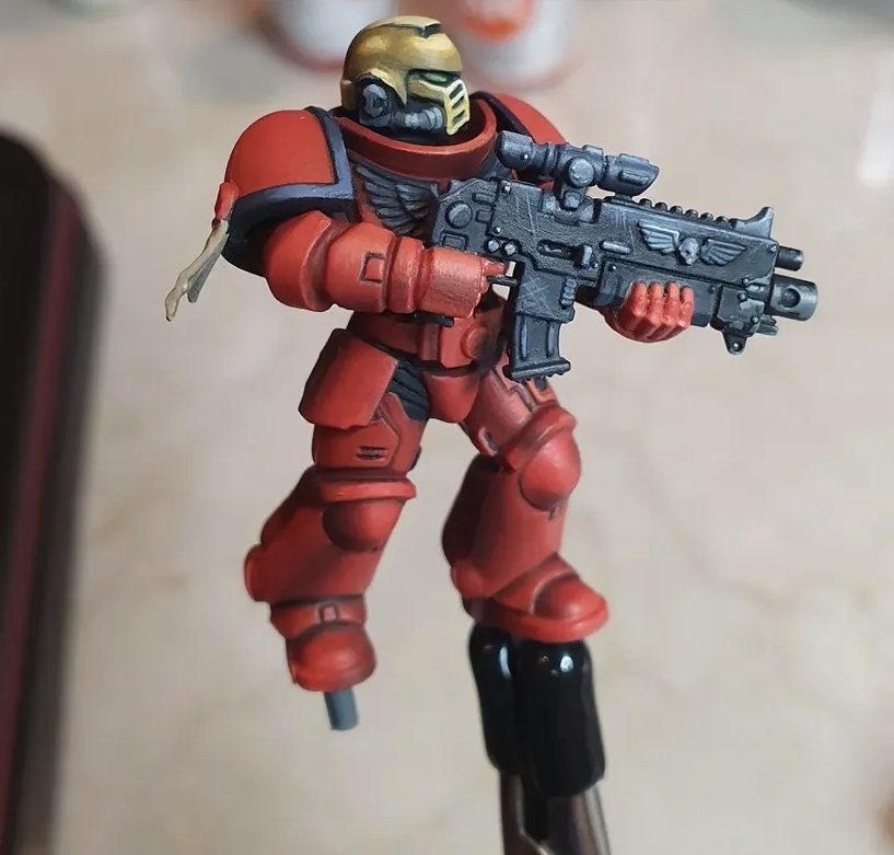 Elnomedas miniature