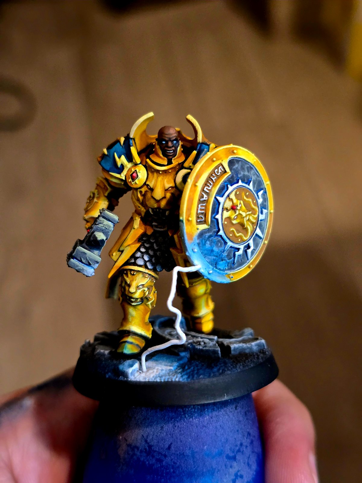 Elnomedas miniature